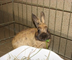 Clark – In Memoriam