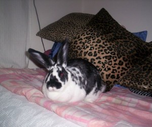 Twister – In Memoriam