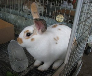 Jamie – In Memoriam