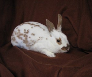 Melody – In Memoriam