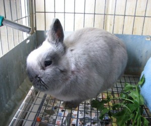 Sterling – In Memoriam