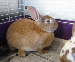 Trina – In Memoriam