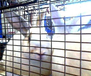 A422873 – In Memoriam