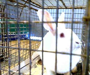 A422874 – In Memoriam