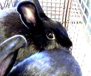 A422876 – In Memoriam