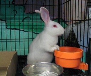 Baby – In Memoriam