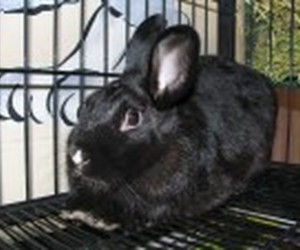 Beauty – In Memoriam