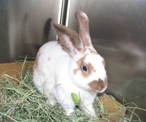 Bernard – In Memoriam