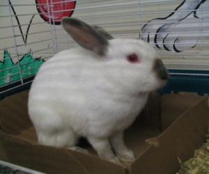 Brandon – In Memoriam