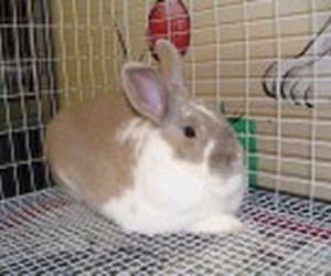 Danny – In Memoriam