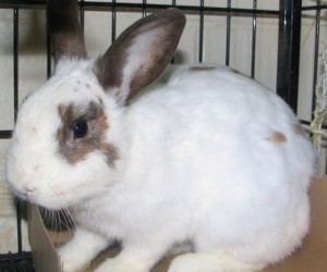 Grant – In Memoriam