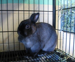 Guiness – In Memoriam