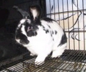 Hoppy Gilmore – In Memoriam