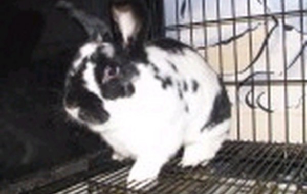 Hoppy Gilmore – In Memoriam