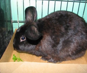 Johnny – In Memoriam