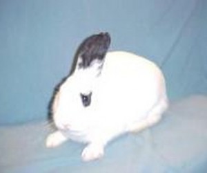 Kayla – In Memoriam