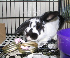 Loretta – In Memoriam