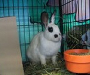 Mama Mia – In Memoriam