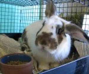 Marvin – In Memoriam