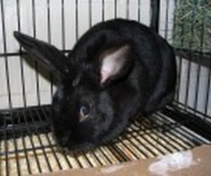 Midnight – In Memoriam