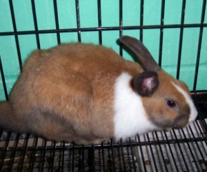 Muenster – In Memoriam