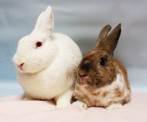 Winston and Elizabeth