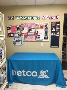 petco rabbit room c