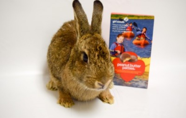 Pattie Peanut Bunner