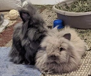 Jessie & Esther