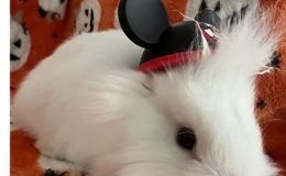 Minnie – 19