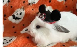 Minnie – 31