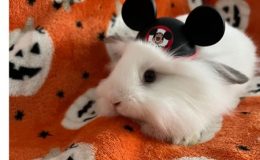 Minnie – 30