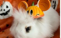 Minnie – 14