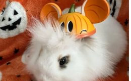 Minnie – 13