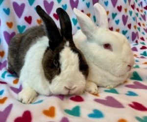 Rupert & Pearly