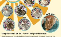 GD Sacramento Post TV Flyer – 1