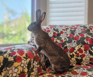 Tina